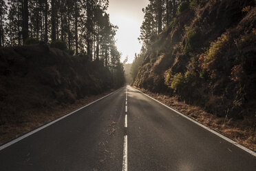 Spanien, Teneriffa, leere Straße, Wald - SIPF000784