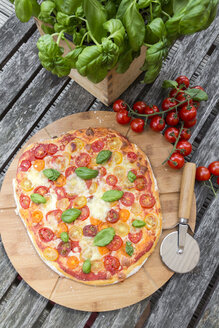 Vegetarische Pizza mit Mozzarella und Tomaten - SARF002852