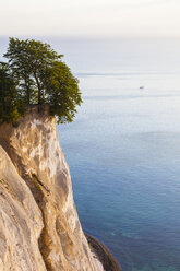 Denmark, Mon Island, Mons Klint, Chalk cliffs - WDF003716