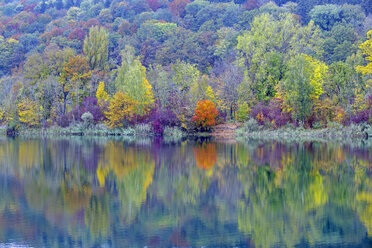 Bunter Herbstwald am See - WGF000941