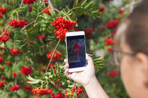 Teenager-Mädchen mit Telefon und roter Eberesche - KNTF000469