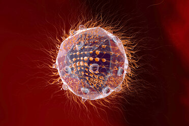 Virus, 3D Rendering - SPCF000110