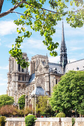 Frankreich, Paris, Notre-Dame de Paris umgeben von Bäumen - GEMF000975