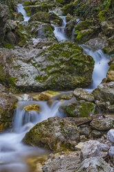 Italy, Umbria, Monte Cucco Regional Park, creek, flowing water - LOMF000363