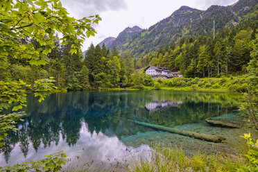 Germany, Allgaeu, Lake Christlessee - WG000948