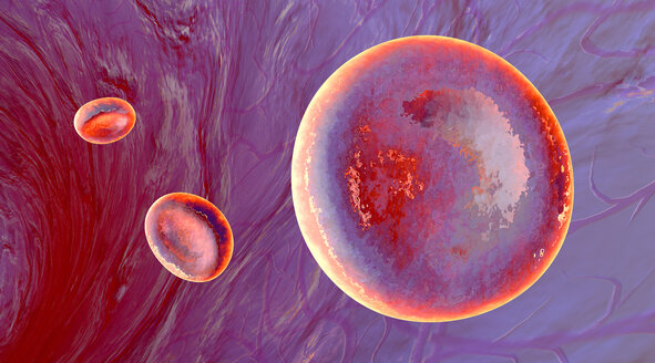 3D-Darstellung von Erythrozytenzellen, die in einer Vene oder Arterie fließen - SPCF000118