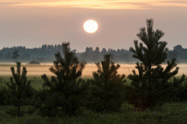 Estland, Palmse, Lahemaa-Nationalpark bei Sonnenuntergang - CSTF001201