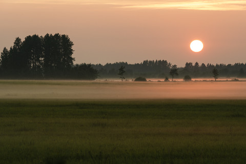 Estonia, Palmse, Lahemaa National Park at sunset stock photo