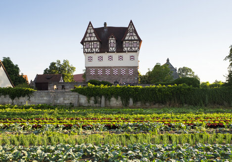 Deutschland, Nürnberg, Neunhof, Blick auf Schloss Neunhof mit Gemüsefeldern im Vordergrund - SIE007102