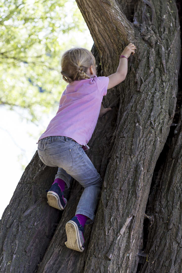 Back view of little girl climbing on a tree stock photo