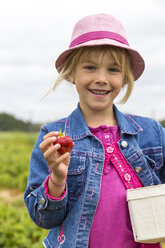 Portrait of happy little girl holding box and strawberry on a strawberry field - JFEF000807