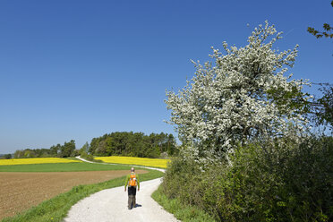 Germany, Bavaria, Upper Franconia, Franconian Switzerland, hiker on hiking trail - LBF001453