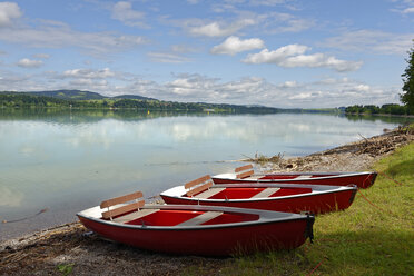 Deutschland, Bayern, Schwaben, Ostallgäu, Schwangau, Forggensee bei Füssen - LBF001454