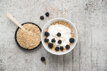 Wholemeal quinoa, popped quinoa with yogurt and blackberries - MYF001751