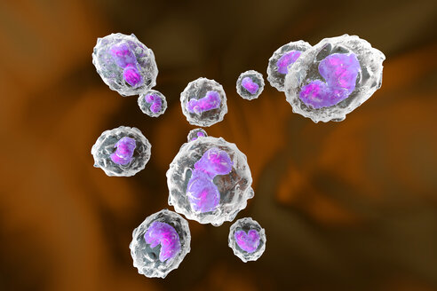 Monozyten, Immunsystem, Abwehrzellen, 3D gerenderte Illustration - SPCF000125