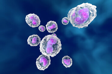Monocytes, immune system, defense cells, 3D rendered illustration - SPCF000126