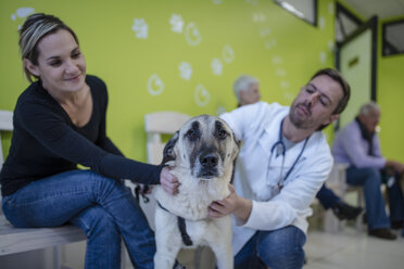 Tierarzt und Frau beruhigen Hund - ZEF009806