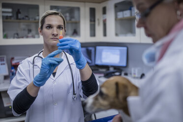 Veterinarian preparing injection for dog - ZEF009828