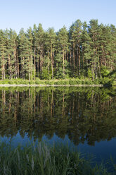 Germany, Brandenburg, Canal and water reflection of trees - JMF000383