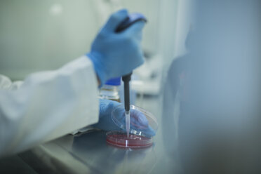 Wissenschaftlerin im Labor, die in eine Petrischale pipettiert - ZEF009952