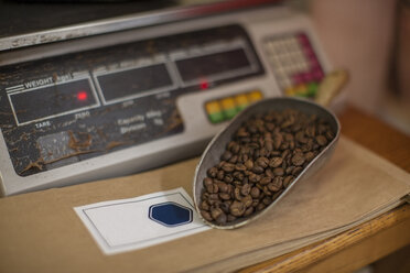 Coffee beans in scoop and scale - ZEF009966