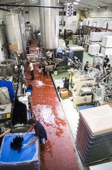 Männer arbeiten in einer Bierfabrik - ABZF001098