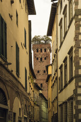 Italy, Lucca, view to Torre Guinigi with house facades in the foreground - OPF000118
