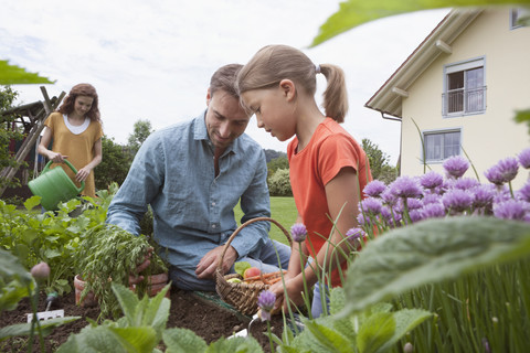 Father and daughter gardening together stock photo