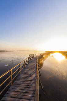 Deutschland, Bad Buchau, Federsee, Holzpromenade am Morgen - WDF003735