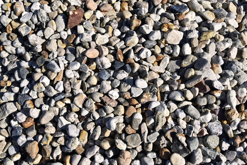 Pebbles, close-up - LYF000581