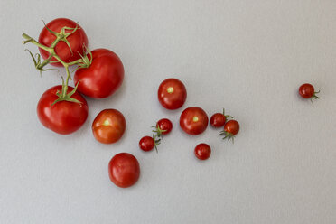 Verschiedene Tomaten - MELF000140