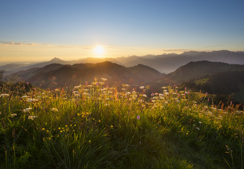 Germany, Bavaria, Allgaeu, Sunrise at the Riederberger Horn stock photo