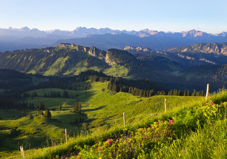 Deutschland, Bayern, Allgäu, Grasgehrenweide und Besler vom Riederberger Horn aus gesehen - SIEF007113