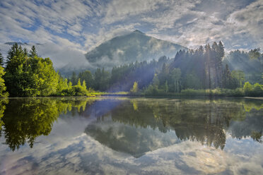 Deutschland, Bayern, Allageu, Oberallgäu, Moorweiher bei Oberstdorf am Morgen - WGF000950