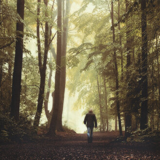 Deutschland, Mann geht im Wald - DWIF000787