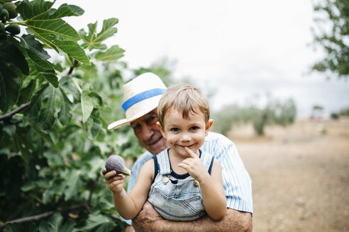 Porträt eines glücklichen kleinen Jungen beim Feigenpflücken mit seinem Urgroßvater - JRFF000860