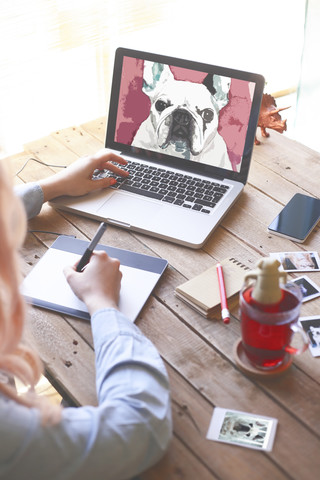 Illustrator drawing a French bulldog with a graphics tablet stock photo
