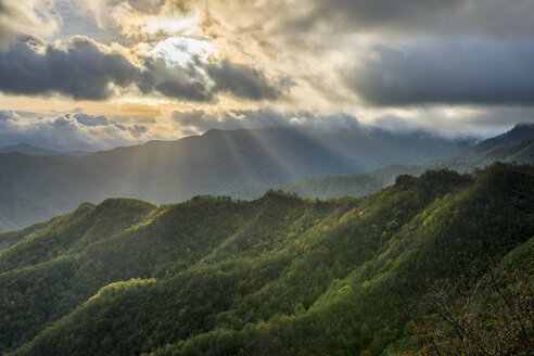 Italien, Emilia-Romagna, Nationalpark Foreste Casentinesi - LOMF000378