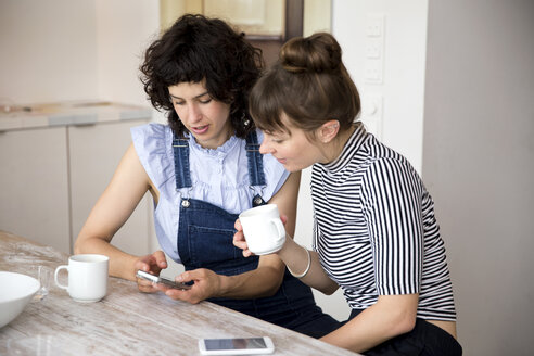 Zwei Freunde sitzen in der Küche und schauen gemeinsam auf ein Smartphone - TSFF000096