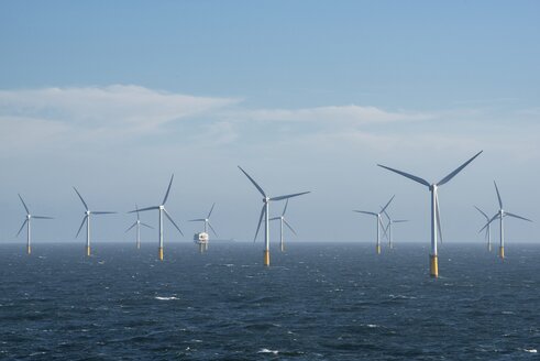 Belgien, Windpark Thorntonbank - ELF001781