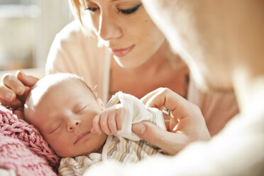 Eltern betrachten ihr neugeborenes Baby - MFF003179