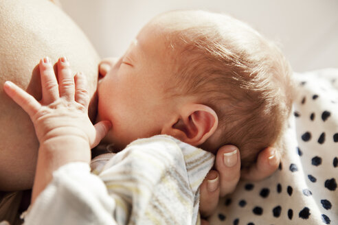 Nahaufnahme eines Babys, das von seiner Mutter gestillt wird - MFF003182