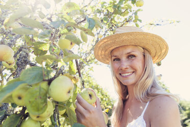 Young woman with straw hat picking apples from tree - MFF003355