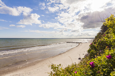 Denmark, Moen Island, Baltic Sea, View of beach against the sun - WDF003745