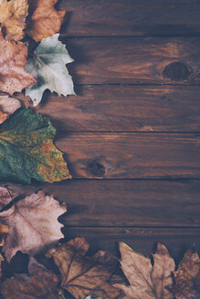 Herbstblätter auf Holz - RTBF000335
