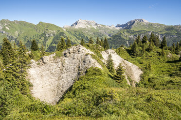 Österreich, Vorarlberg, Lechtaler Alpen, Naturschutzgebiet Gipsloecher, Grubenalpe - STSF001078