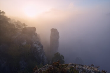 Deutschland, Sachsen, Nationalpark Sächsische Schweiz, Bastei, Höllenhund am Raaber Kessel im Nebel - RUEF001745