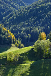 Italy, South Tyrol, Vilnoess Valley at sunlight - RUEF001754