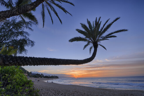 USA, Hawaii, Oahu, Palmen am Strand bei Sonnenuntergang - RUEF001761