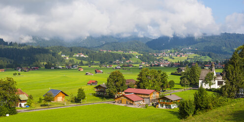 Germany, Bavaria, Upper Allgaeu, Allgaeu Alps, Loretto meadows - WGF000952